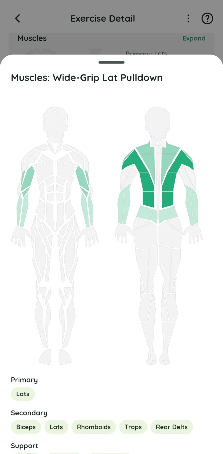 The muscles sheet for the wide-grip lat pulldown: lats primary, biceps, rhomboids, traps and rear delts secondary, shown on the body